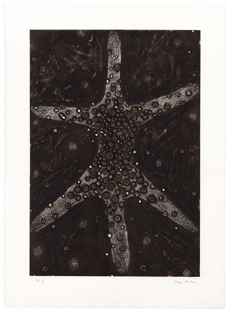 plasmolysis01