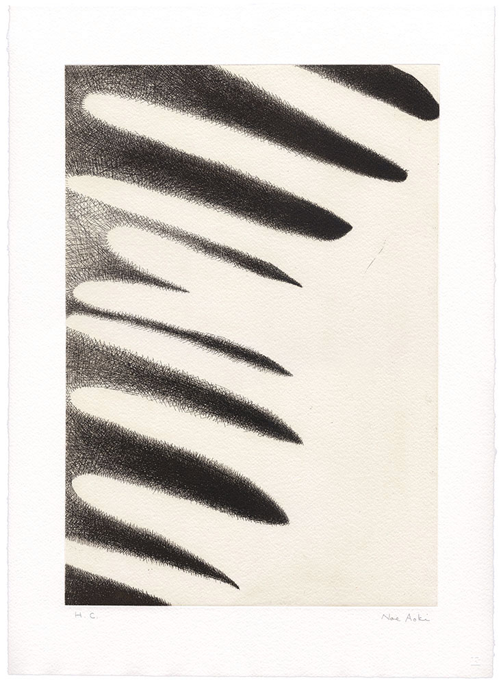 plasmolysis04