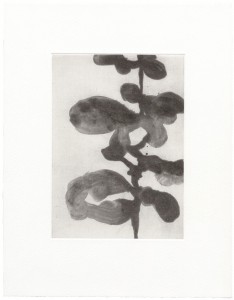 christianeloehr aquatint01