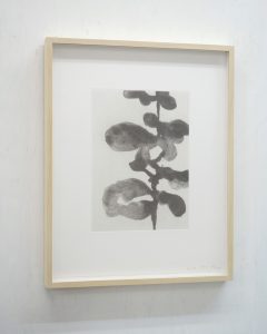 christianeloehr-aquatint01-framed