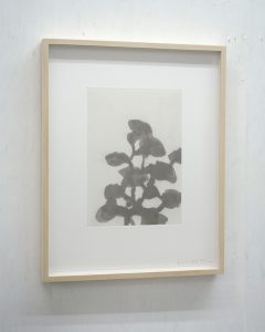 christianeloehr-aquatint02-framed